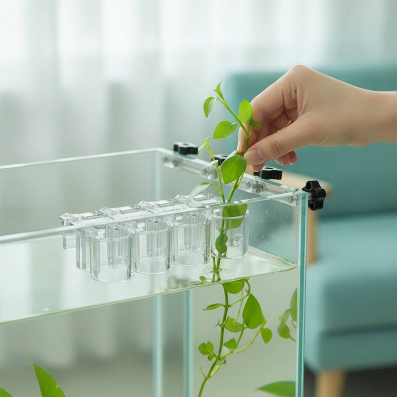 Aquarium Plants - 6個入り水槽プランター クリア水耕栽培サポートクリップ ネジ付き 水生植物カップ クランプ式 水槽愛好家、水槽用