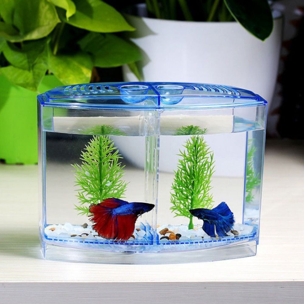 Betta Fish Tank - 透明なベタフィッシュタンク、二重グリッドロンバスゴッピー水族館、孵化と訓練分離ボックス