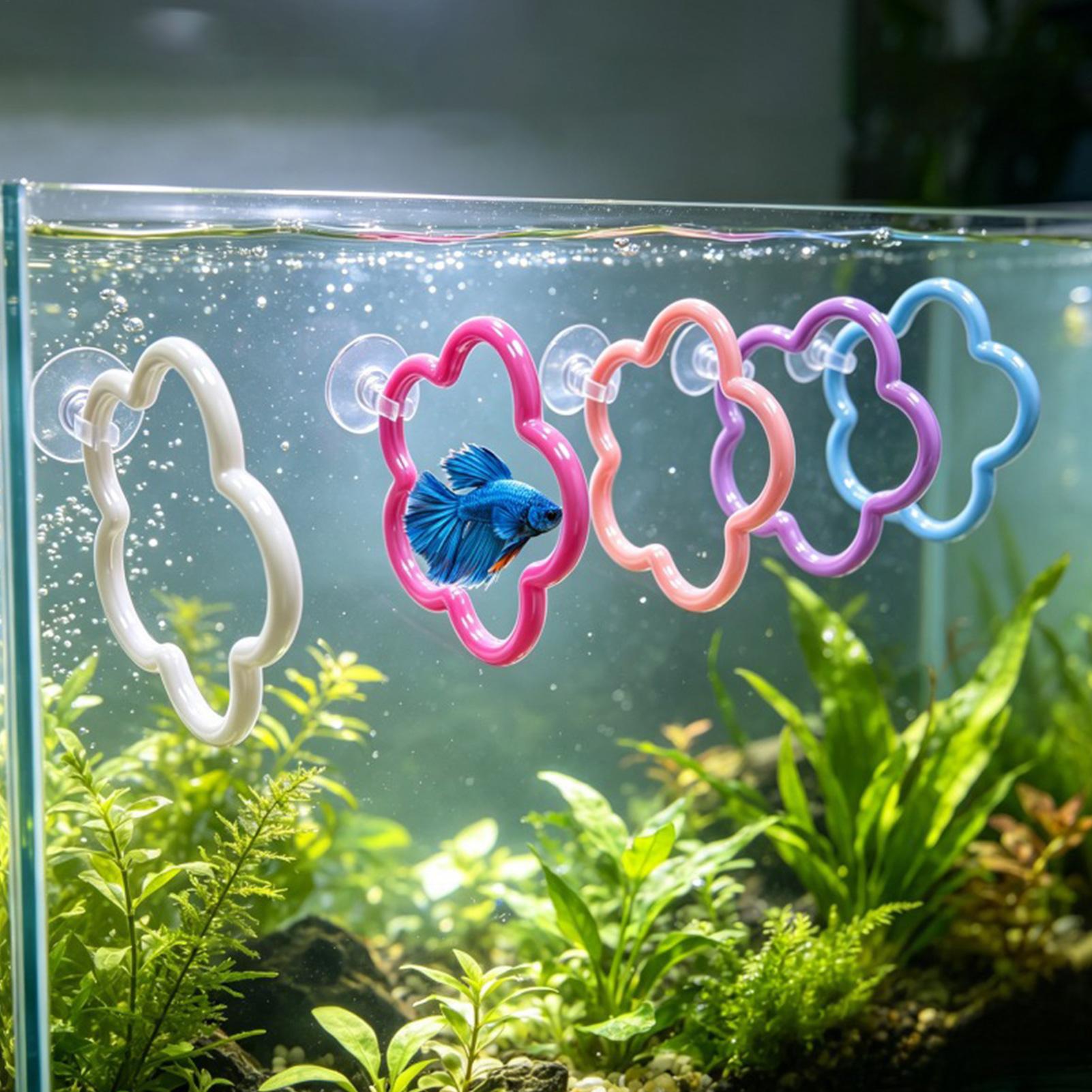 Aquarium Fish Betta - ベタ魚のおもちゃ 5個入り カラフルな吸盤付き水槽アクセサリー ベタ運動リング 水槽の装飾や遊びに