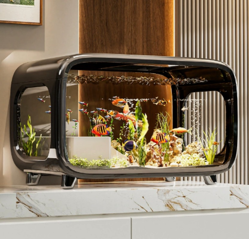 Fish Aquarium Home - クリエイティブな透明な生態水槽（蓋付き）、卓上用の観賞魚水槽、家庭用リビングルームの装飾用小型水槽。