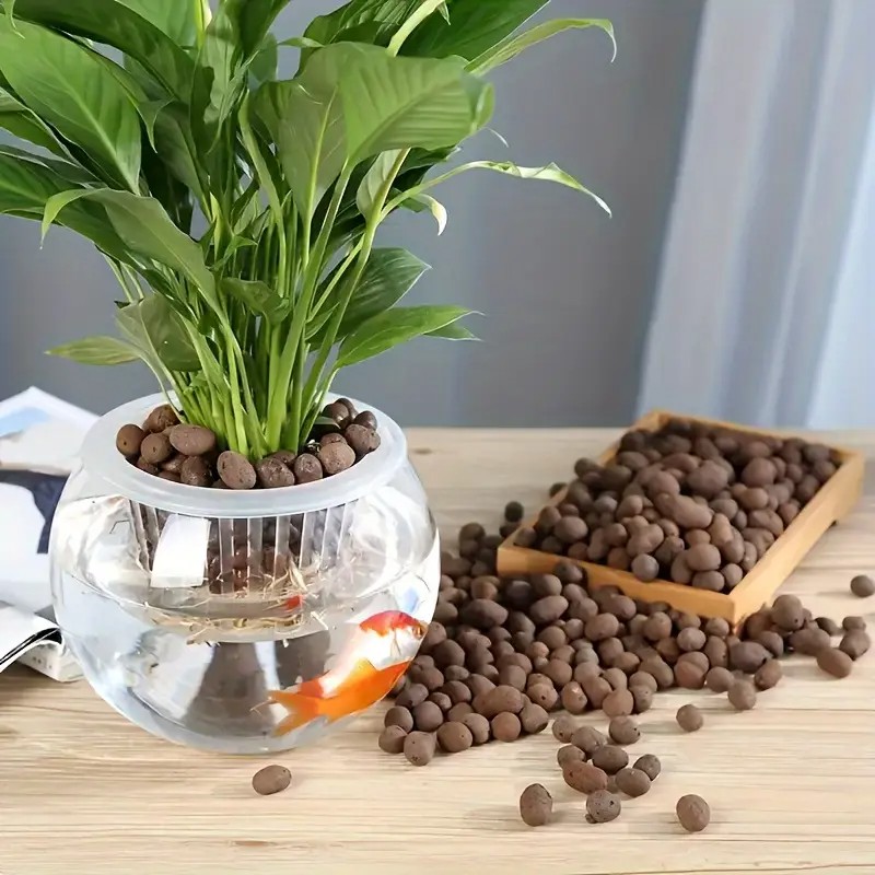 水族館の装飾、水草栽培、多肉植物、盆栽用の軽量で通気性のある - Aquarium Decor のレビューと価格
