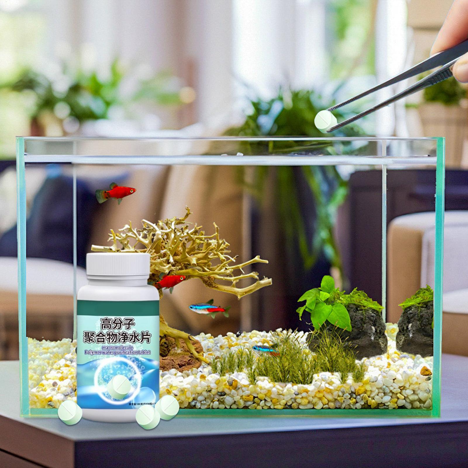 魚の水槽藻類除去剤、水槽浄化タブレット、噴水、ベタ、エビ、カ - Aquarium Fish Betta のレビューと価格