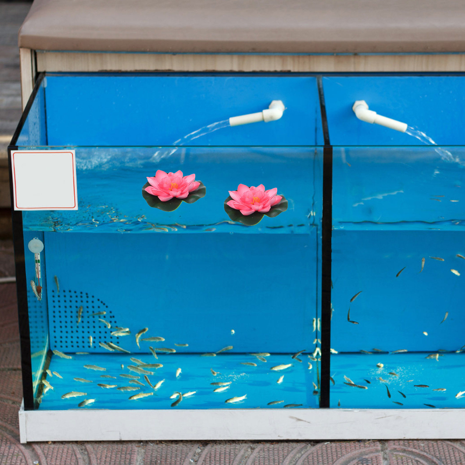 池、プール、噴水、水槽、庭の装飾に使える、リアルな造花の水生 - Aquarium Decor のレビューと価格