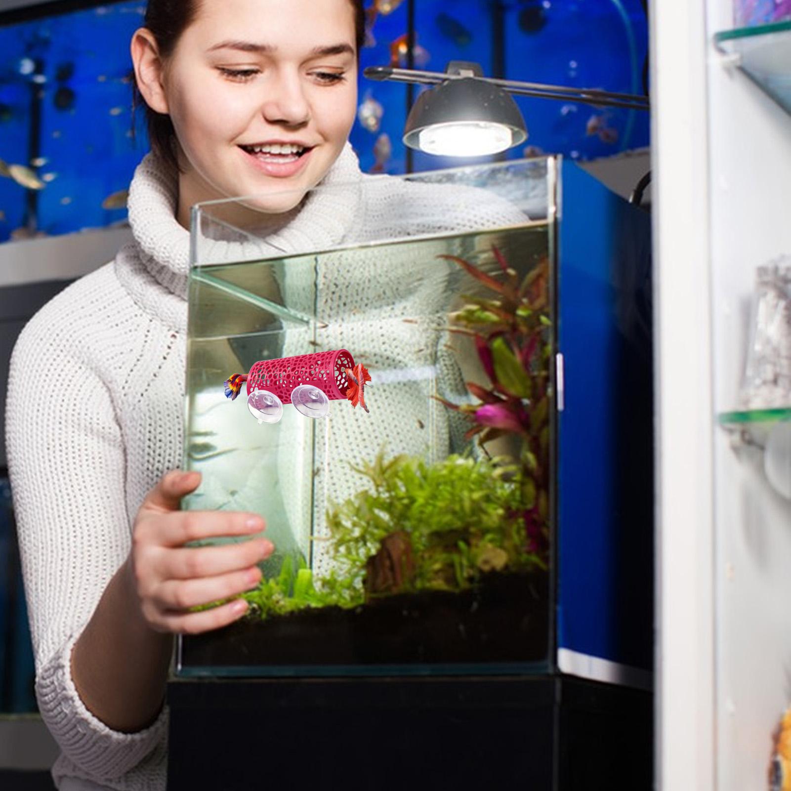 ベタの生息地、休憩用シェルター、装飾用魚トンネルおもちゃ、水 - Betta Fish Tank のレビューと価格
