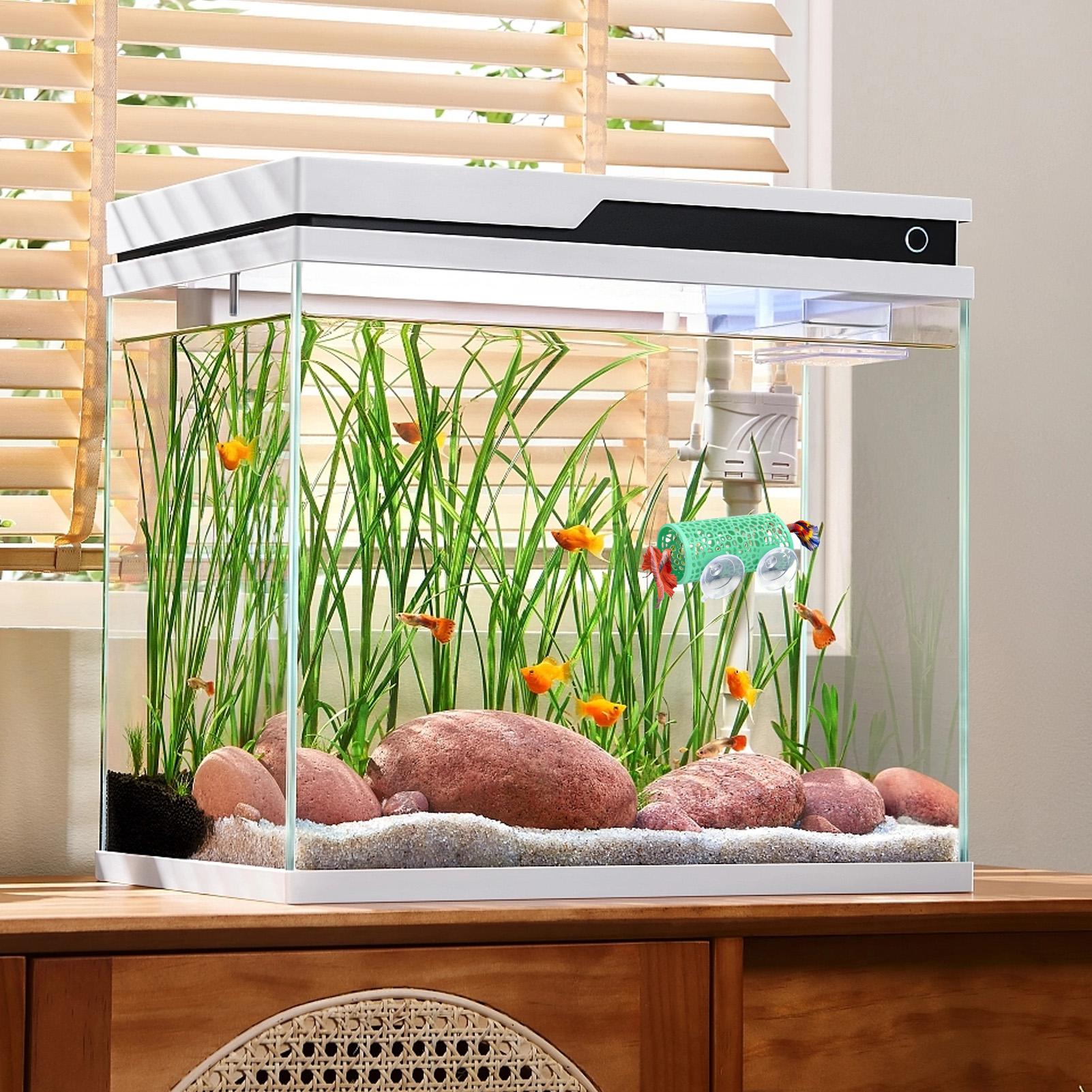 ベタの生息地、休憩用シェルター、装飾用魚トンネルおもちゃ、水 - Betta Fish Tank のレビューと価格