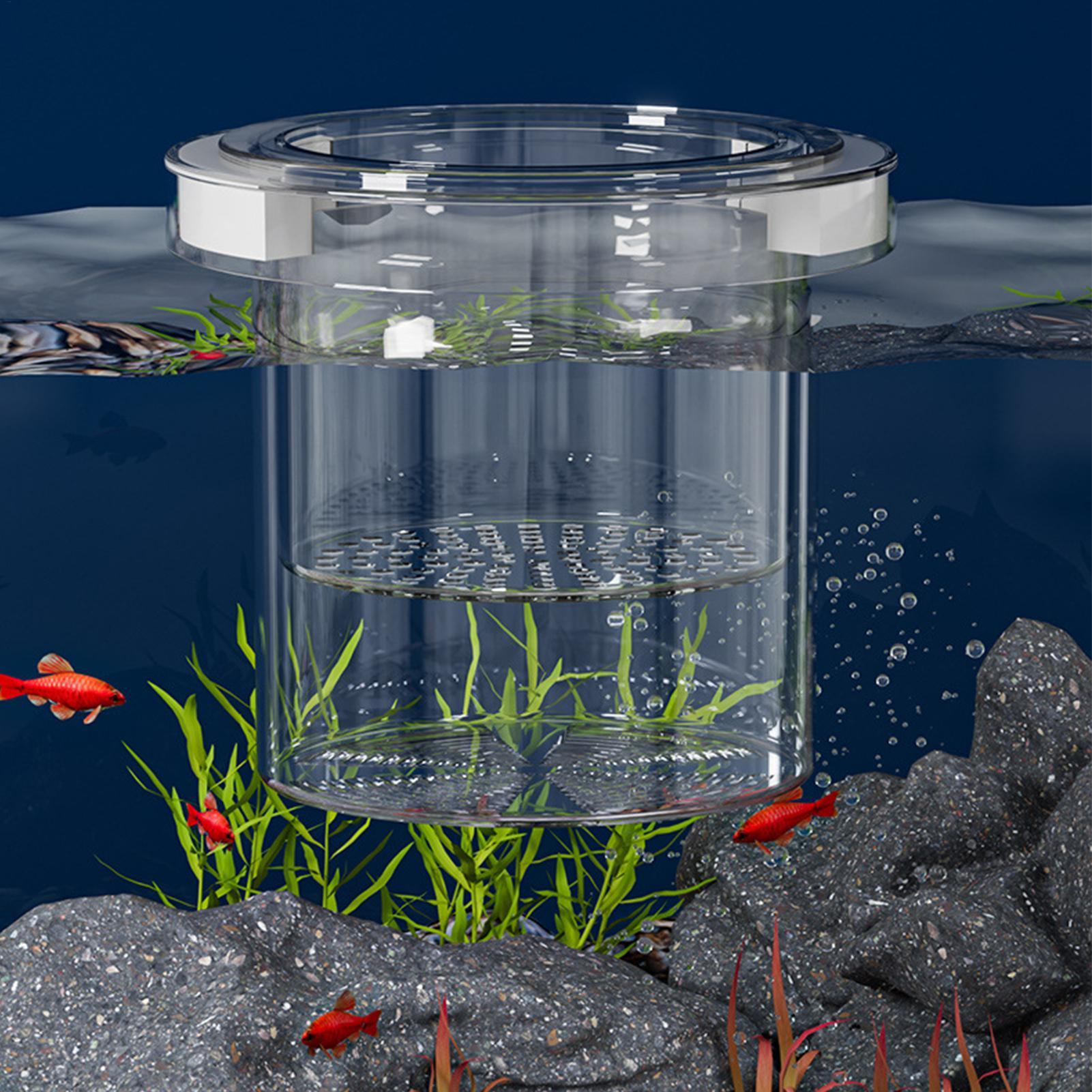フローティングフィッシュブリーディングアイソレーションボック - Betta Fish Tank のレビューと価格