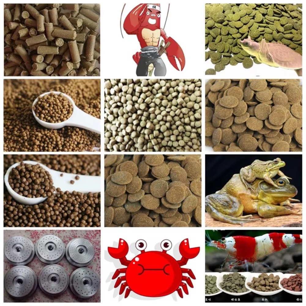 浮遊性魚飼料製造機ペレット押出機、浮遊性飼料ペレットペットフ - Fish Food のレビューと価格