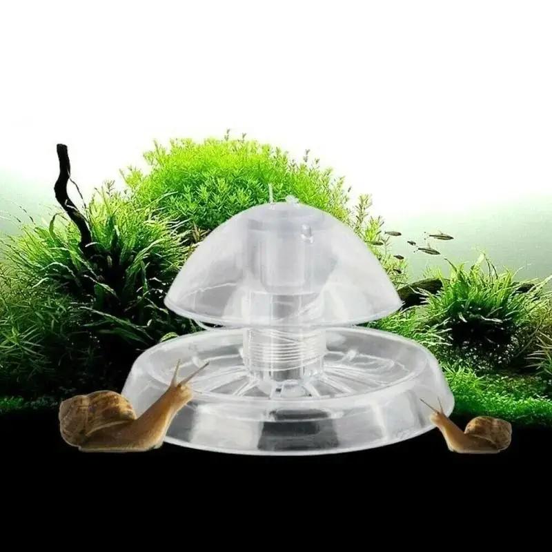 2026年新発売 6/8CM 透明プラスチック製カタツムリ捕 - Fish Aquarium Home のレビューと価格