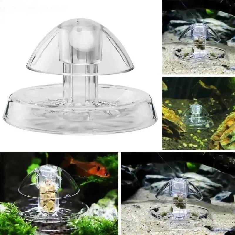 2026年新発売 6/8CM 透明プラスチック製カタツムリ捕 - Fish Aquarium Home のレビューと価格