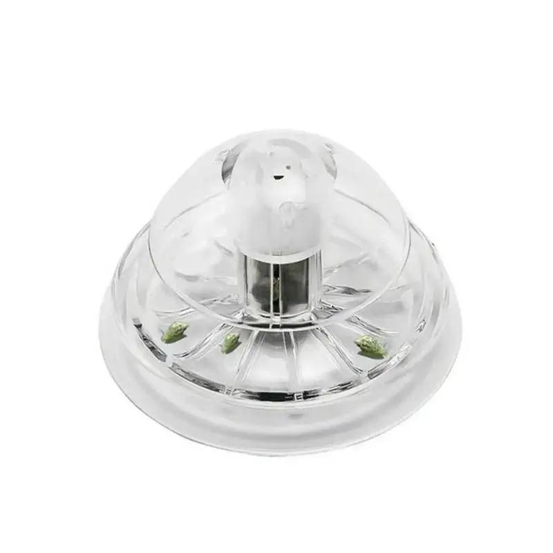 2026年新発売 6/8CM 透明プラスチック製カタツムリ捕 - Fish Aquarium Home のレビューと価格