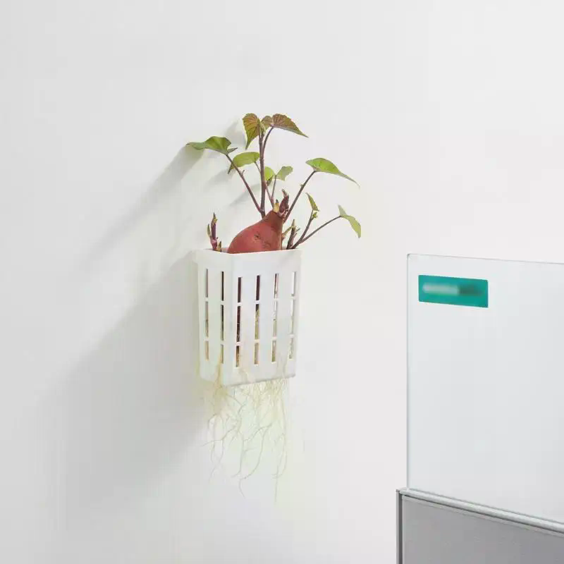 水耕栽培用サポートバスケット1個、水槽用植栽カップ、水草水生 - Aquarium Plants のレビューと価格