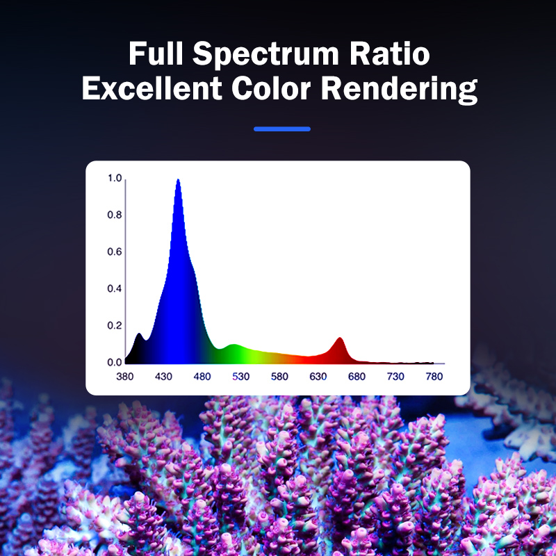 ホットKASSRAY T169/T215 CREEs LED - Aquarium Light のレビューと価格