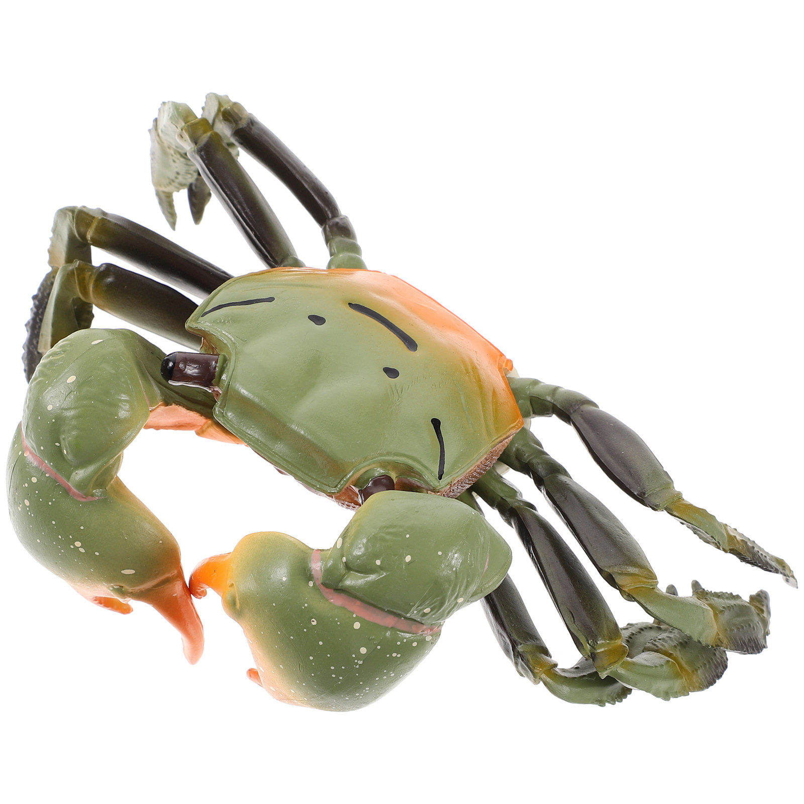 水槽、テラリウム、オフィス、家庭用として使える、リアルなプラ - Aquarium Decor のレビューと価格