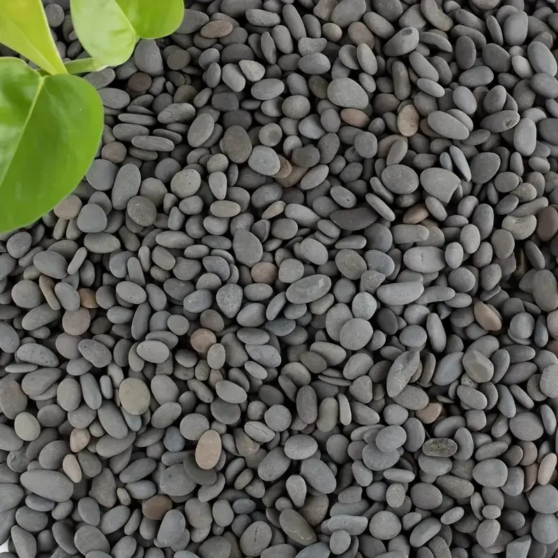 20 個の天然川の岩、グレーがかった黒の色調の滑らかな平らな - Fish Tank Gravel のレビューと価格
