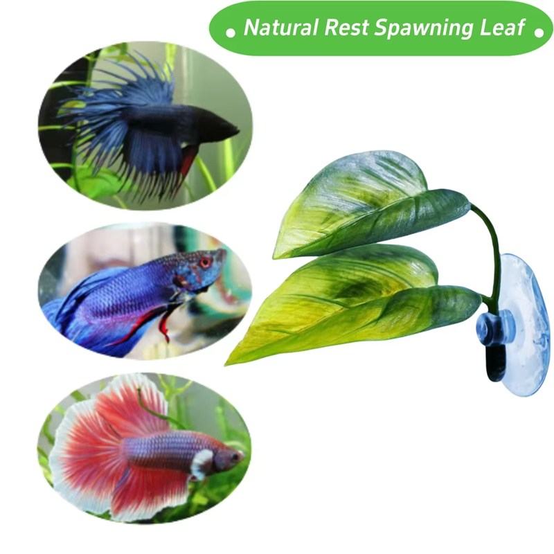 水槽用ペット用品装飾人工水生植物水槽造景人工ベタフィッシュリ - Betta Fish Tank のレビューと価格