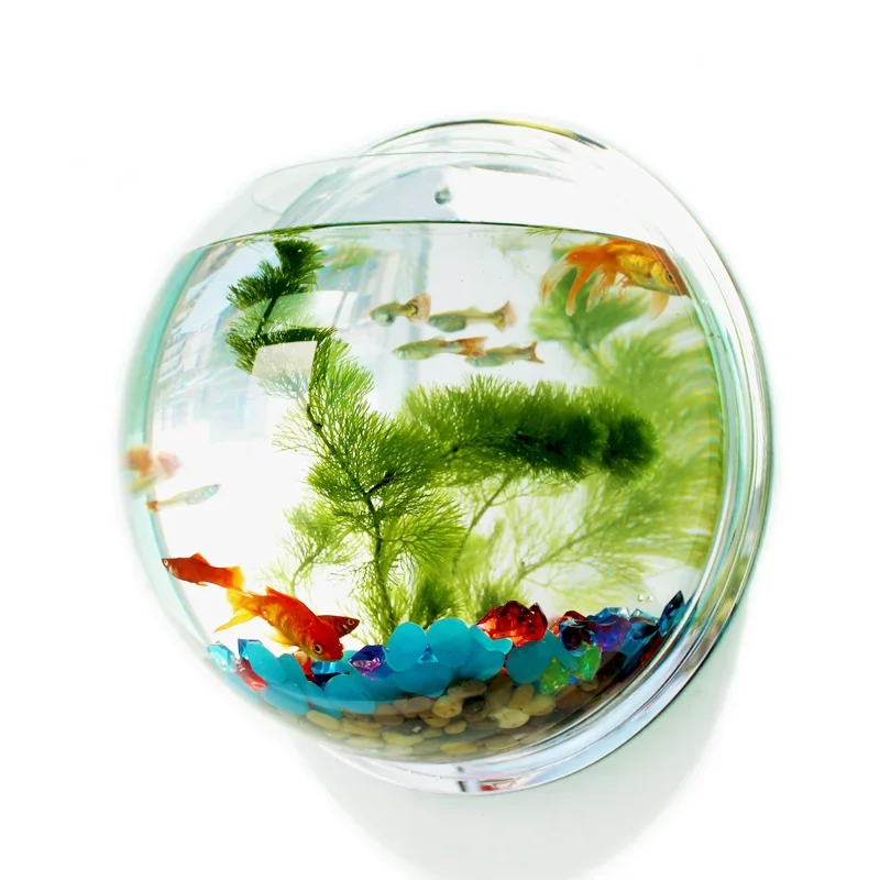 Pinsjar アクリル金魚鉢壁掛け水族館タンク水生ペット用 - Betta Fish Tank のレビューと価格