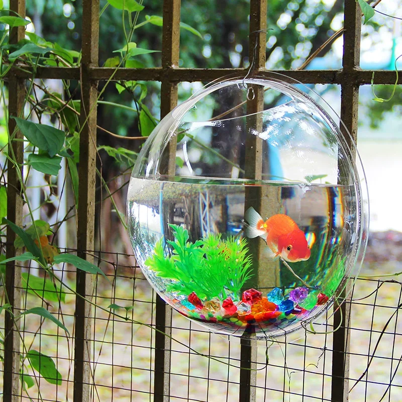 Pinsjar アクリル金魚鉢壁掛け水族館タンク水生ペット用 - Betta Fish Tank のレビューと価格