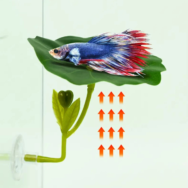 (Ce14)1/5個入り、緑色の葉っぱのハンモック。ベタ魚用 - Betta Fish Tank のレビューと価格