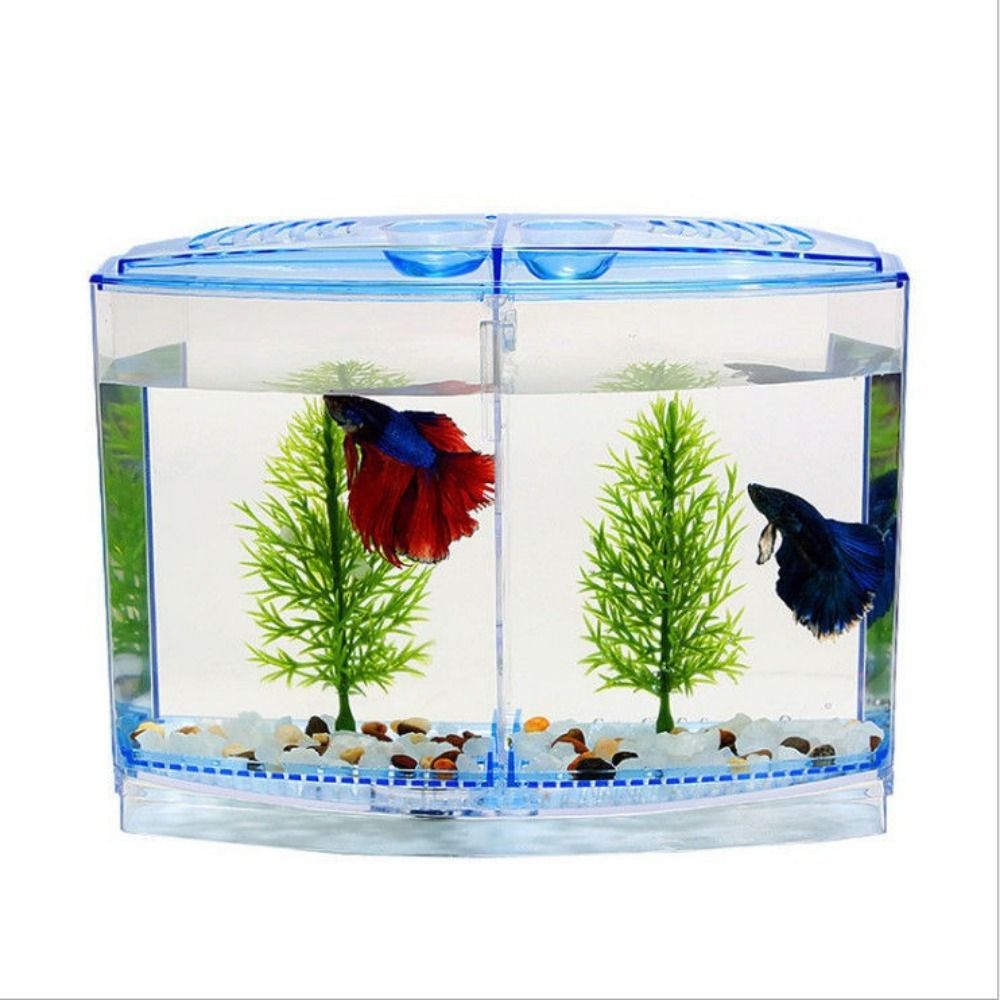 透明なベタフィッシュタンク、二重グリッドロンバスゴッピー水族 - Betta Fish Tank のレビューと価格
