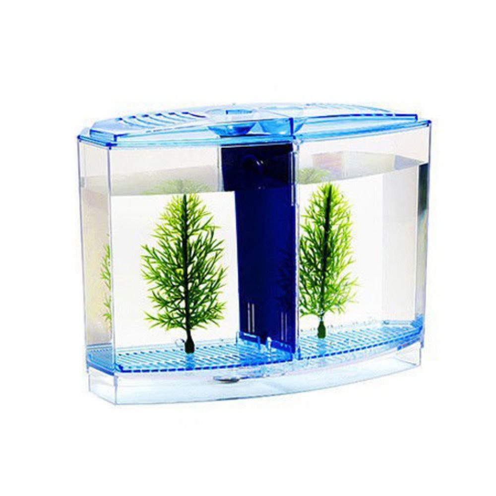 透明なベタフィッシュタンク、二重グリッドロンバスゴッピー水族 - Betta Fish Tank のレビューと価格