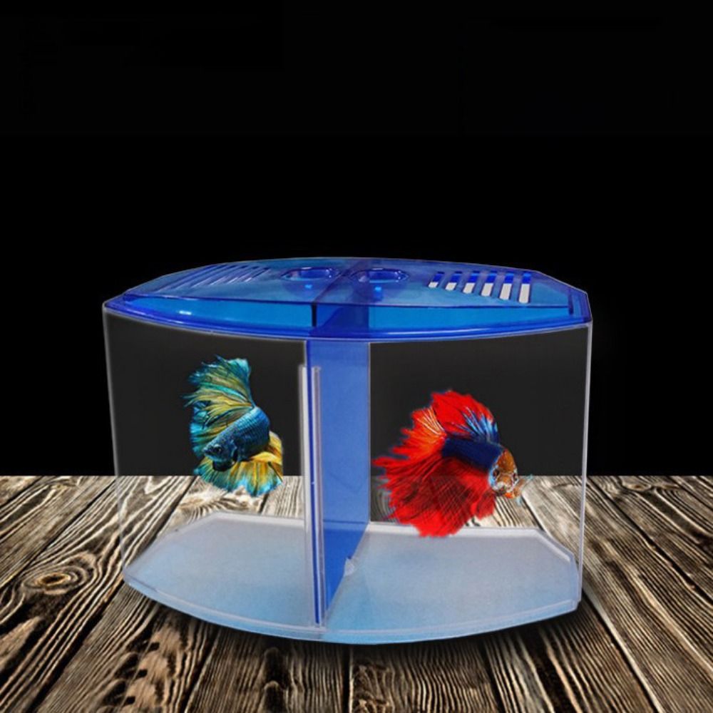 透明なベタフィッシュタンク、二重グリッドロンバスゴッピー水族 - Betta Fish Tank のレビューと価格