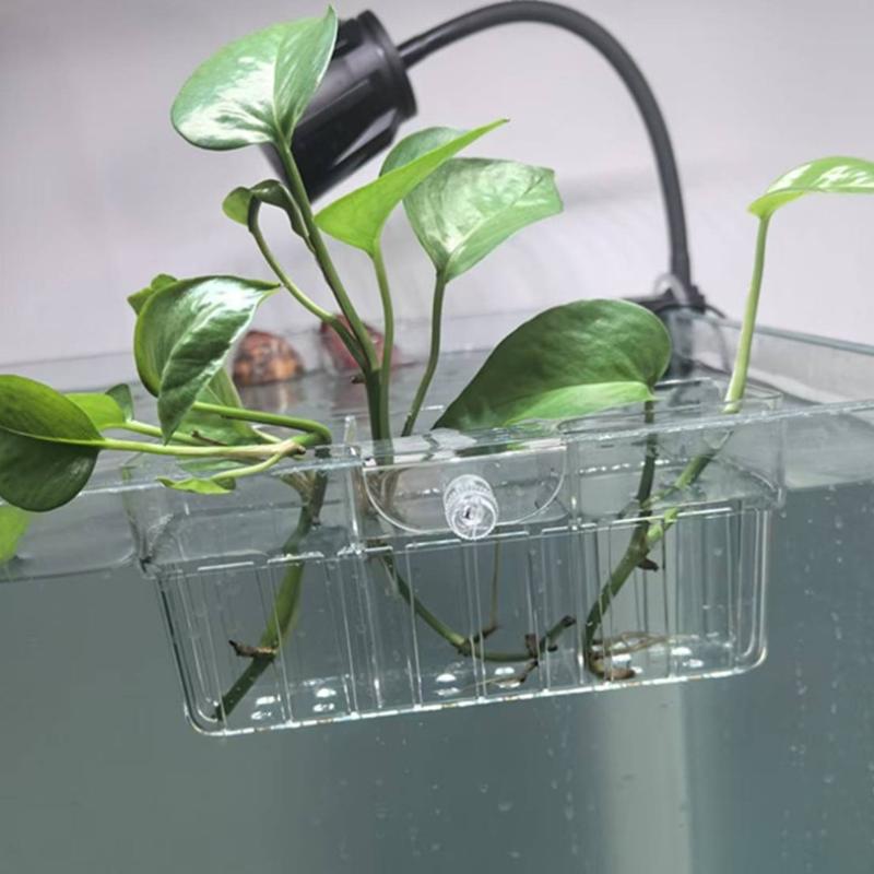 水耕栽培用植物バスケット 食品グレード 水生植物ホルダー 1 - Fish Aquarium Home のレビューと価格