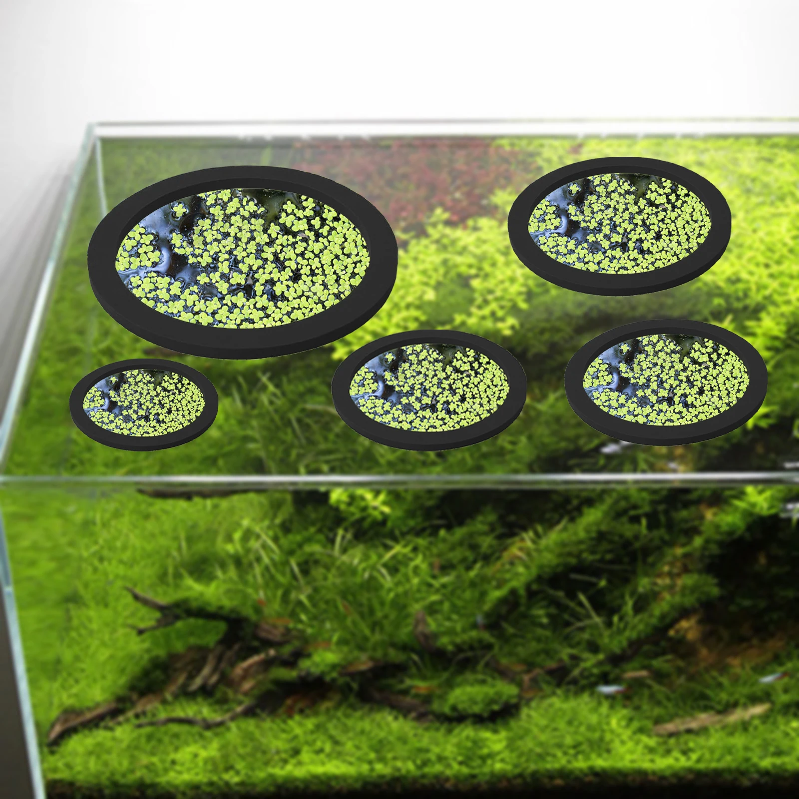 5 個 EVA 魚給餌リング水族館浮遊植物囲い水槽フロート植 - Fish Aquarium Home のレビューと価格