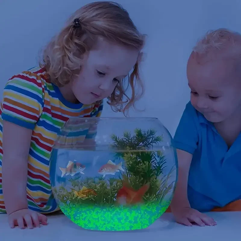 暗い小石の中で輝き、明るい砂岩、家の庭、庭、屋外の小道、芝生 - Fish Tank Gravel のレビューと価格