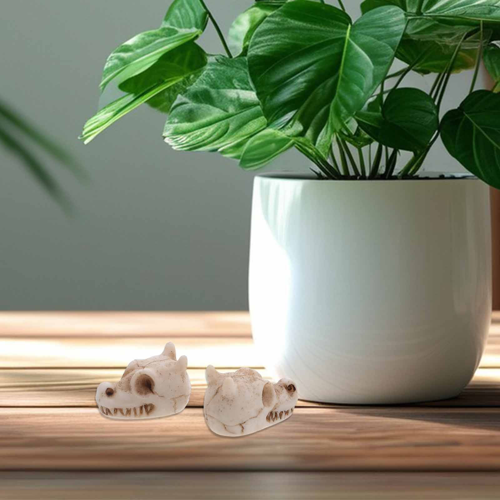 20個入り ミニドラゴンスカル レジン製 屋外ガーデンデコレ - Aquarium Decor のレビューと価格