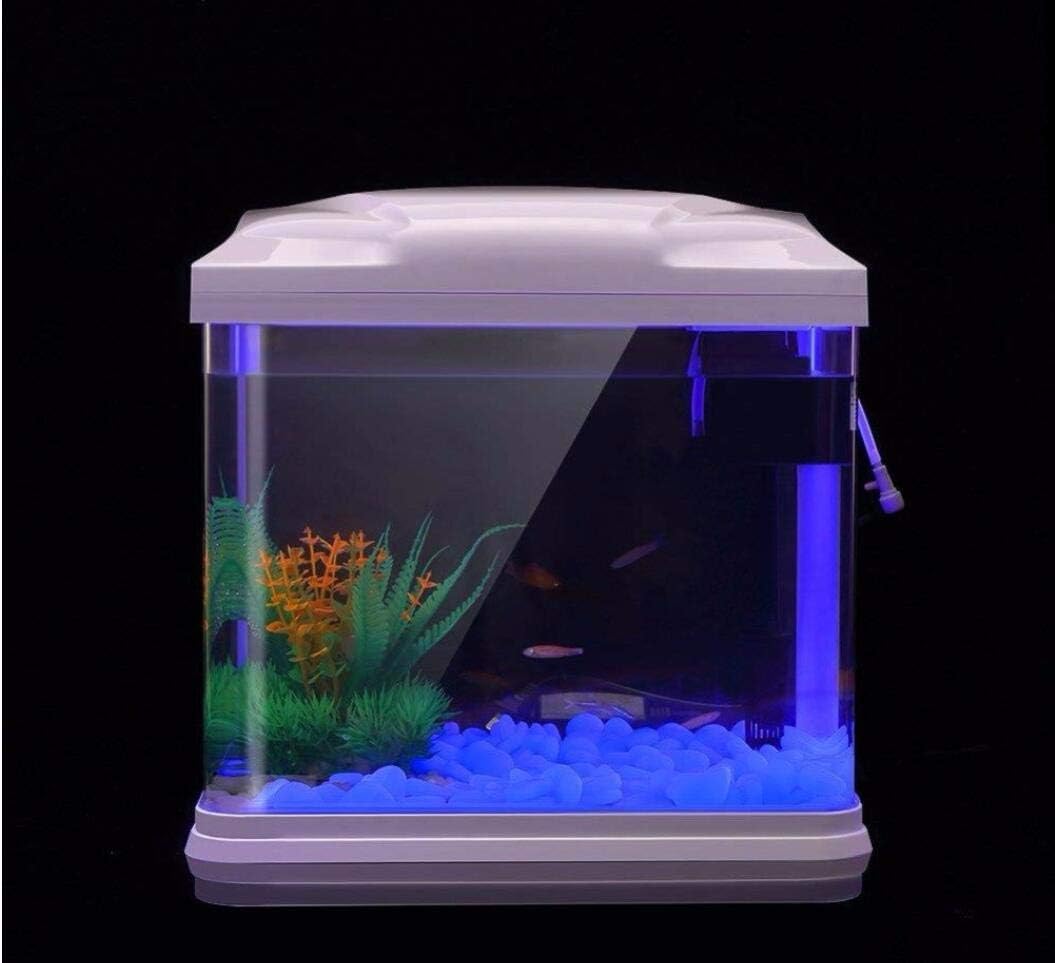 水槽岩グローブルー小石庭用水槽水族館植木鉢盆栽歩道私道 - Fish Aquarium Home のレビューと価格