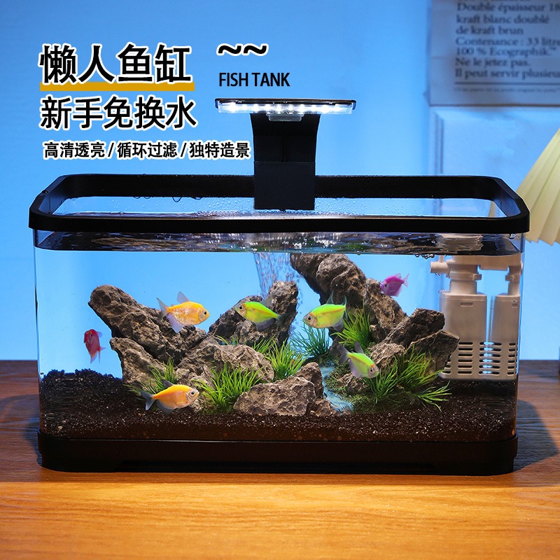 卓上水槽循環フィルター付きアクアリウム、静音エコ水槽、家庭装 - Fish Aquarium Home のレビューと価格