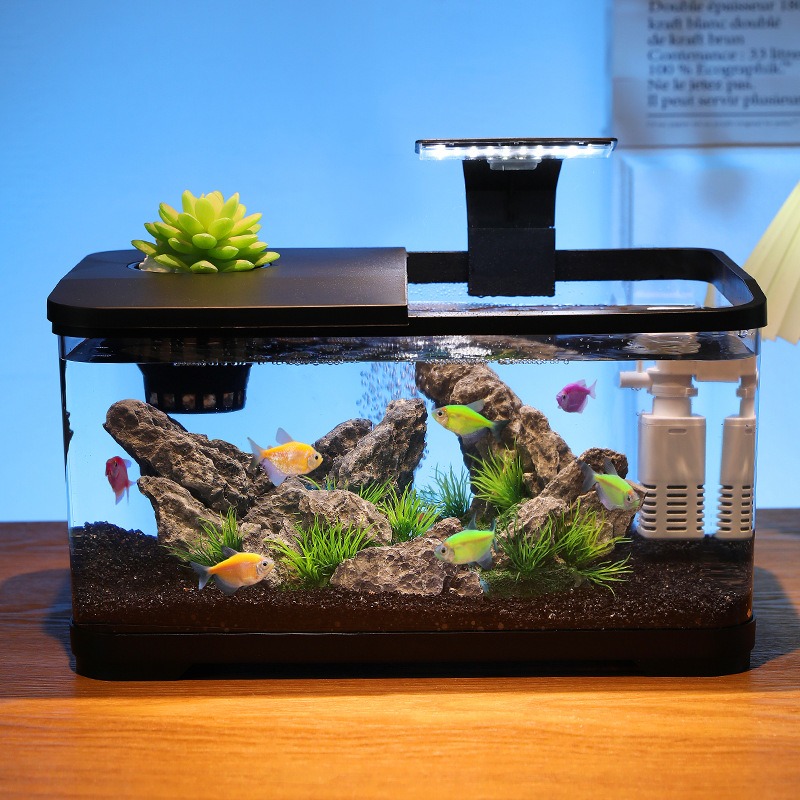 卓上水槽循環フィルター付きアクアリウム、静音エコ水槽、家庭装 - Fish Aquarium Home のレビューと価格