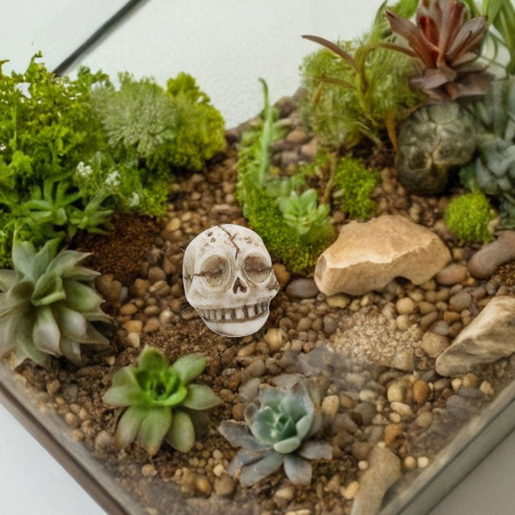 20個入り、笑顔のドクロのレジン製置物。屋外、庭、芝生、水槽 - Aquarium Decor のレビューと価格