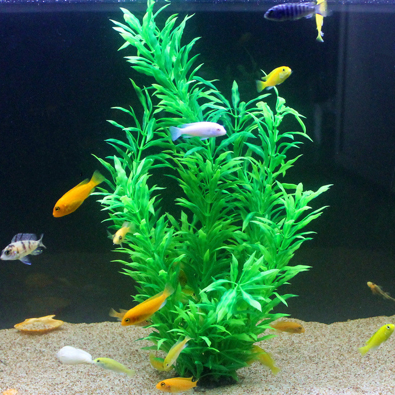 人工水槽50cm,珍しい植物,水族館,偽の竹の葉,水草,プラ - Fish Aquarium Home のレビューと価格