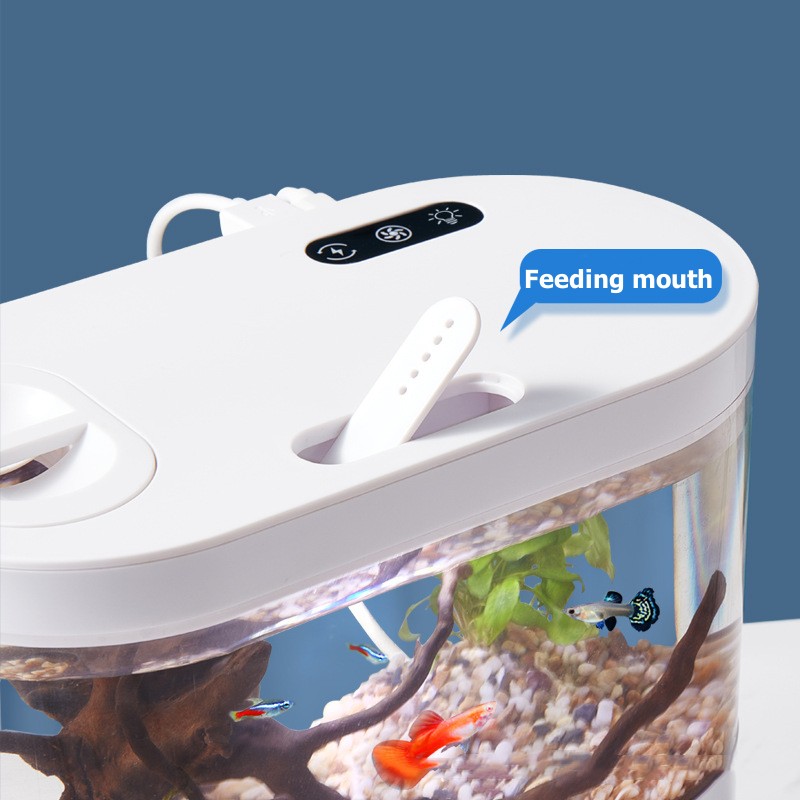 創造的なミニデスクトップ水槽、生化学ろ過システムとLEDライ - Betta Fish Tank のレビューと価格