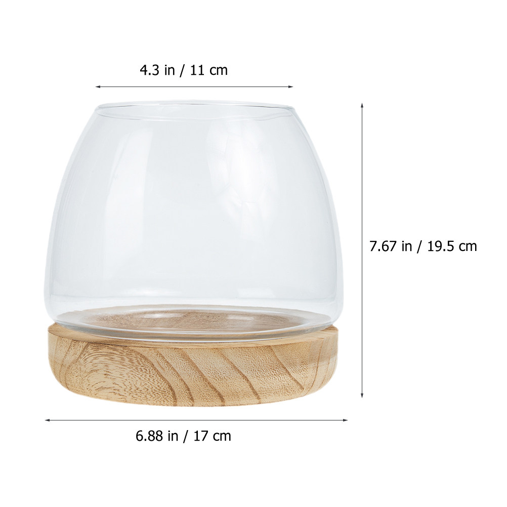 1個入り 透明ガラス製 水耕栽培用テラリウム 木製スタンド付 - Aquarium Plants のレビューと価格